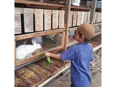 WhatsApp Image 2025-11-25 at 11