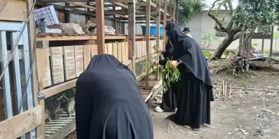 Perternakan Kelinci PKBM KHADIJAH