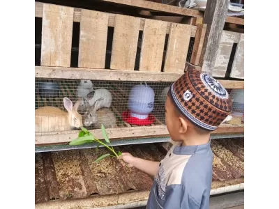 WhatsApp Image 2025-11-25 at 11