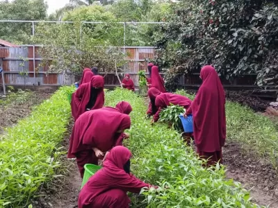 91e6b7ed-5cd0-4dbf-a321-0477aaf893da