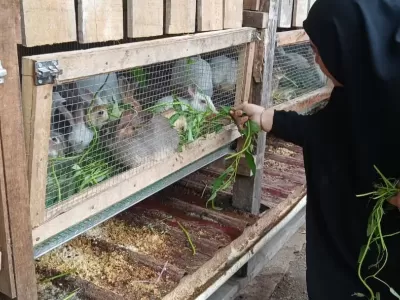 WhatsApp Image 2025-11-21 at 15