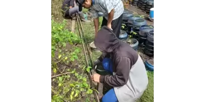 Skill Pertanian PKBM Khadijah