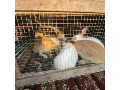 WhatsApp Image 2026-04-11 at 09