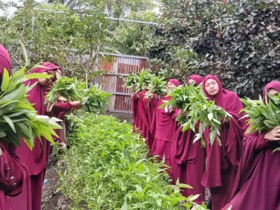 WhatsApp Image 2025-11-25 at 08