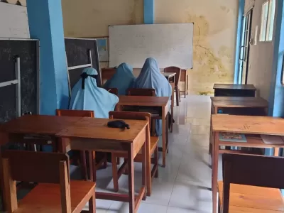 da625416-b1ee-4c01-8a32-51724d2ca8d0