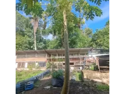 WhatsApp Image 2026-04-11 at 09