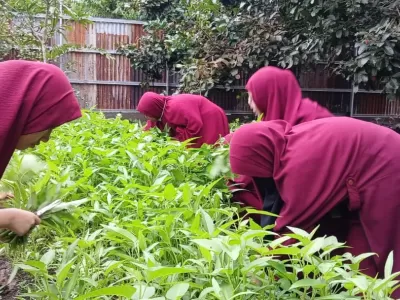 WhatsApp Image 2025-11-25 at 08