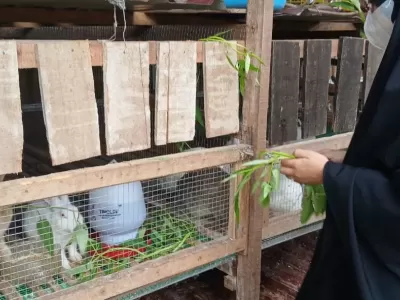 WhatsApp Image 2025-11-21 at 15